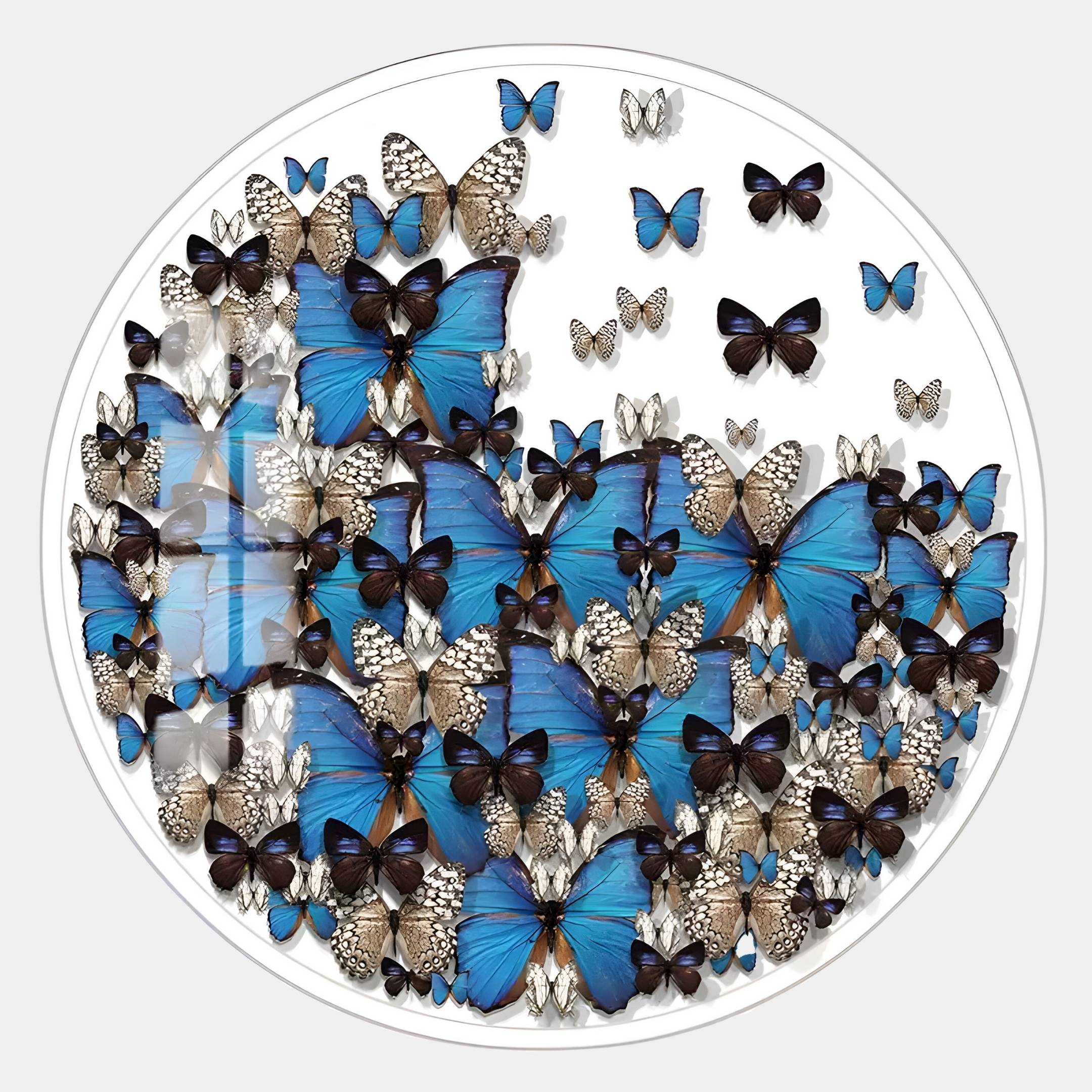 Papillure Azure Bloom Butterfly Acrylic 3D Wall Art