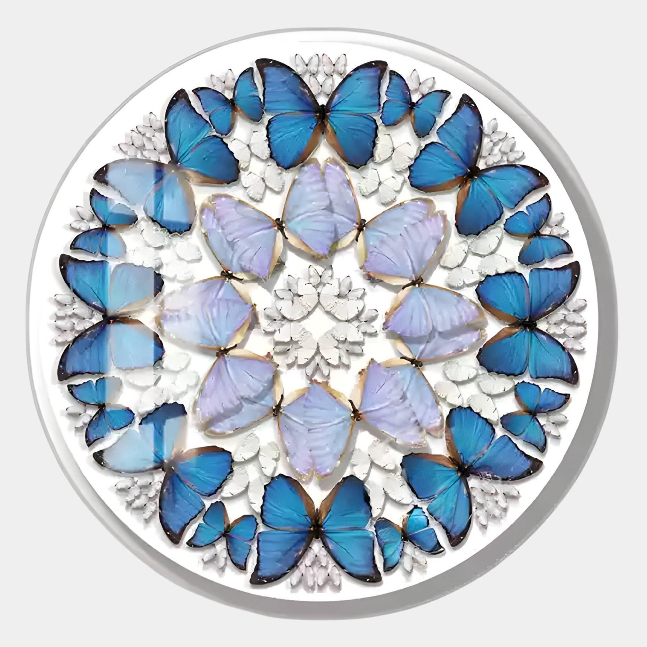 Papillure Harmony Butterfly Mandala Acrylic 3D Wall Art