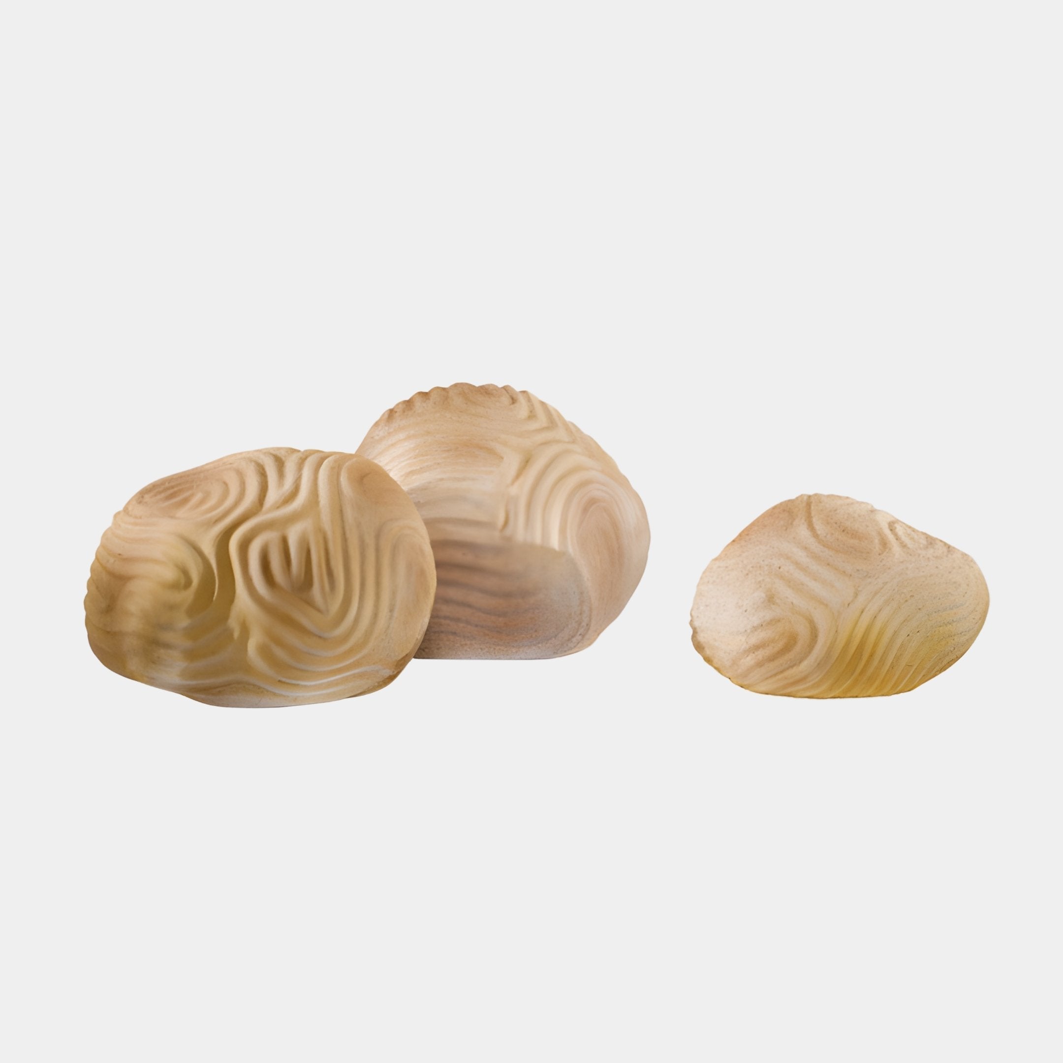 Yetminster Cream Shell Sculpture - 80cm