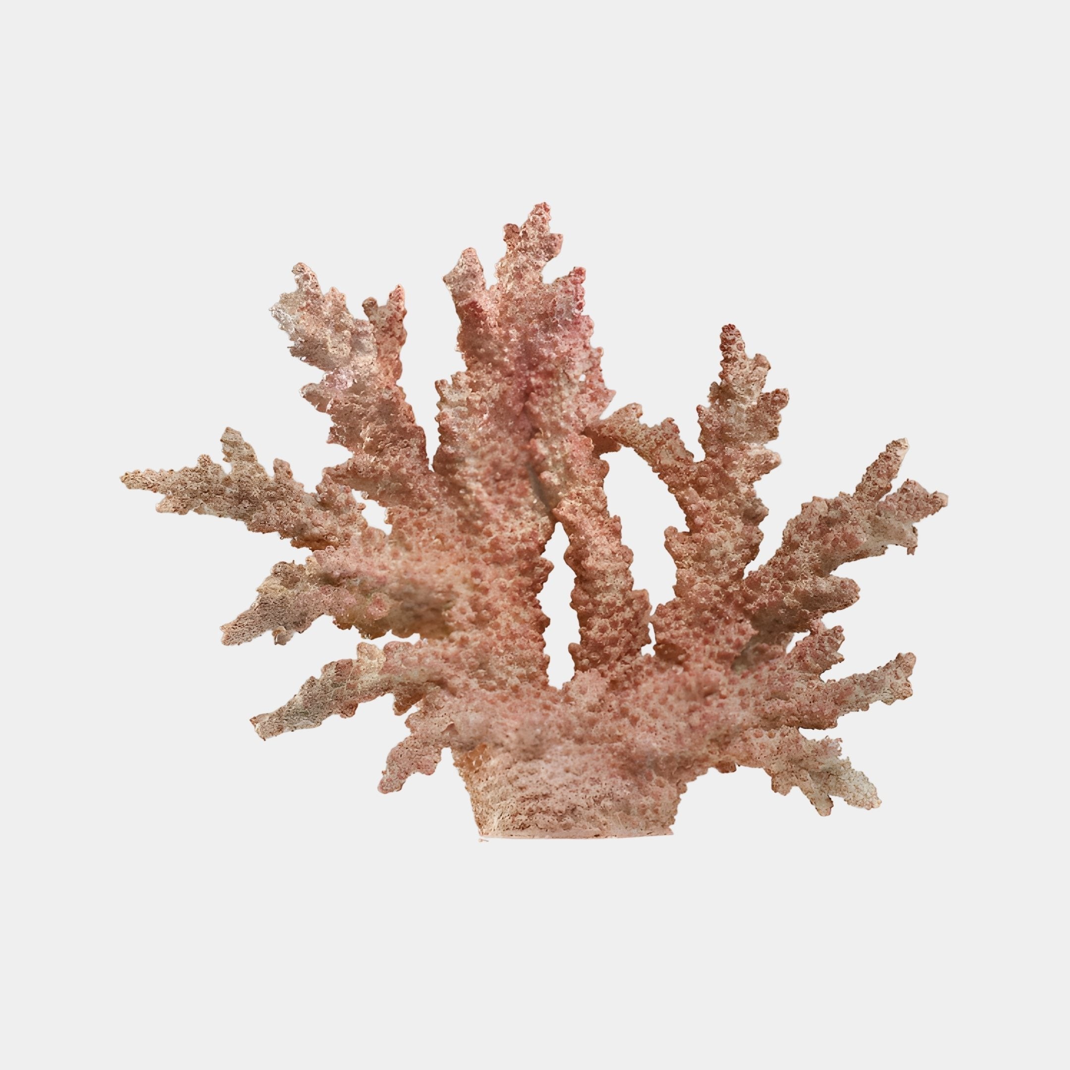 Azalea Pink & Cream Coral Sculpture - 34cm