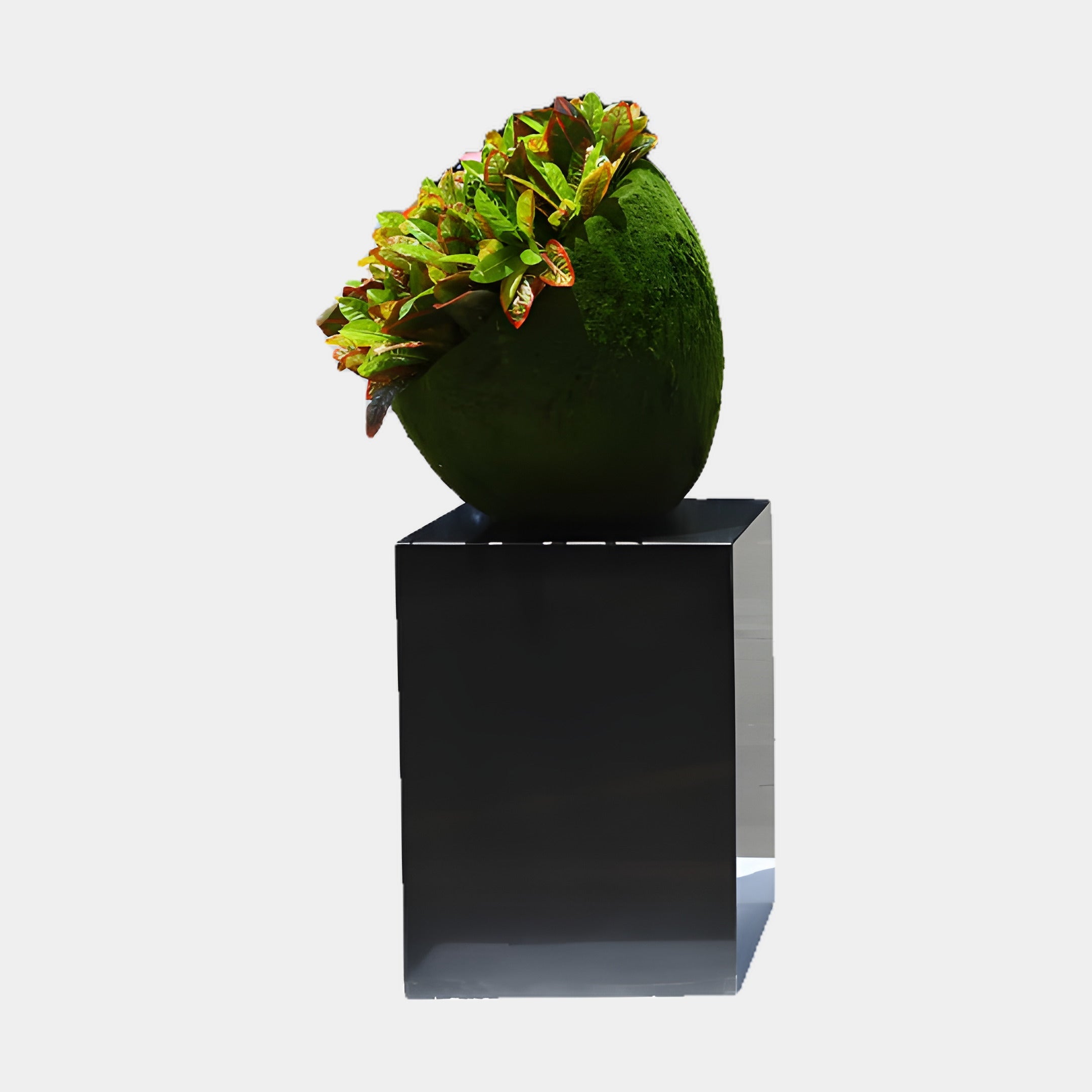 Wramplingham Green & Black Moss Planter - 63cm