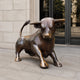 Monumental Contemporary Crouching Bull Bronze Sculpture by Giant Sculptures in warm brown patina, shown in a crouched stance outside a stone-clad building entrance.