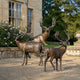 Giant Sculptures Monumental Traditional Stag Group Bronze Sculpture with three stags in warm brown patina displayed on gravel outside a stone manor house.