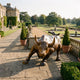 Life-Size Charging Bull Bronze Statue by Giant Sculptures, 220cm, shown in charging pose with warm brown patina on a stone terrace beside a manor house and formal gardens.