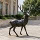 Life-Size Walking Stag Bronze Sculpture by Giant Sculptures in dark patina, mid-stride with raised head and multi-point antlers, displayed on a stone terrace beside a classical building.