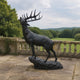 Life-Size Traditional Bugling Bull Elk Bronze Sculpture by Giant Sculptures shown in side profile on a terrace, head raised mid-call, beside a stone balustrade overlooking parkland.