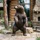 Monumental Traditional Rearing Grizzly Bear Bronze Sculpture by Giant Sculptures, 300cm, standing upright on a stone patio beside a log cabin and wooden bench.