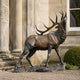 Life-Size Bugling Bull Elk Bronze Sculpture by Giant Sculptures shown side-on with head raised and antlers swept back, displayed outside a columned stone building.