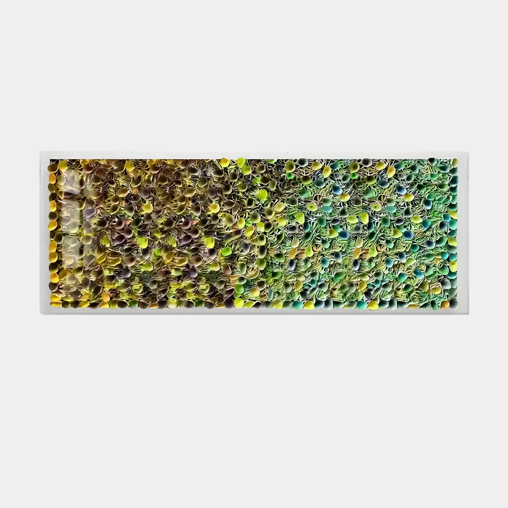 Giant Sculptures Chromatica Rectangular 3D Wall Art displays a grid of small, colorful spheres, transitioning from yellow and green on the left to blue and green on the right, forming a textured pattern.