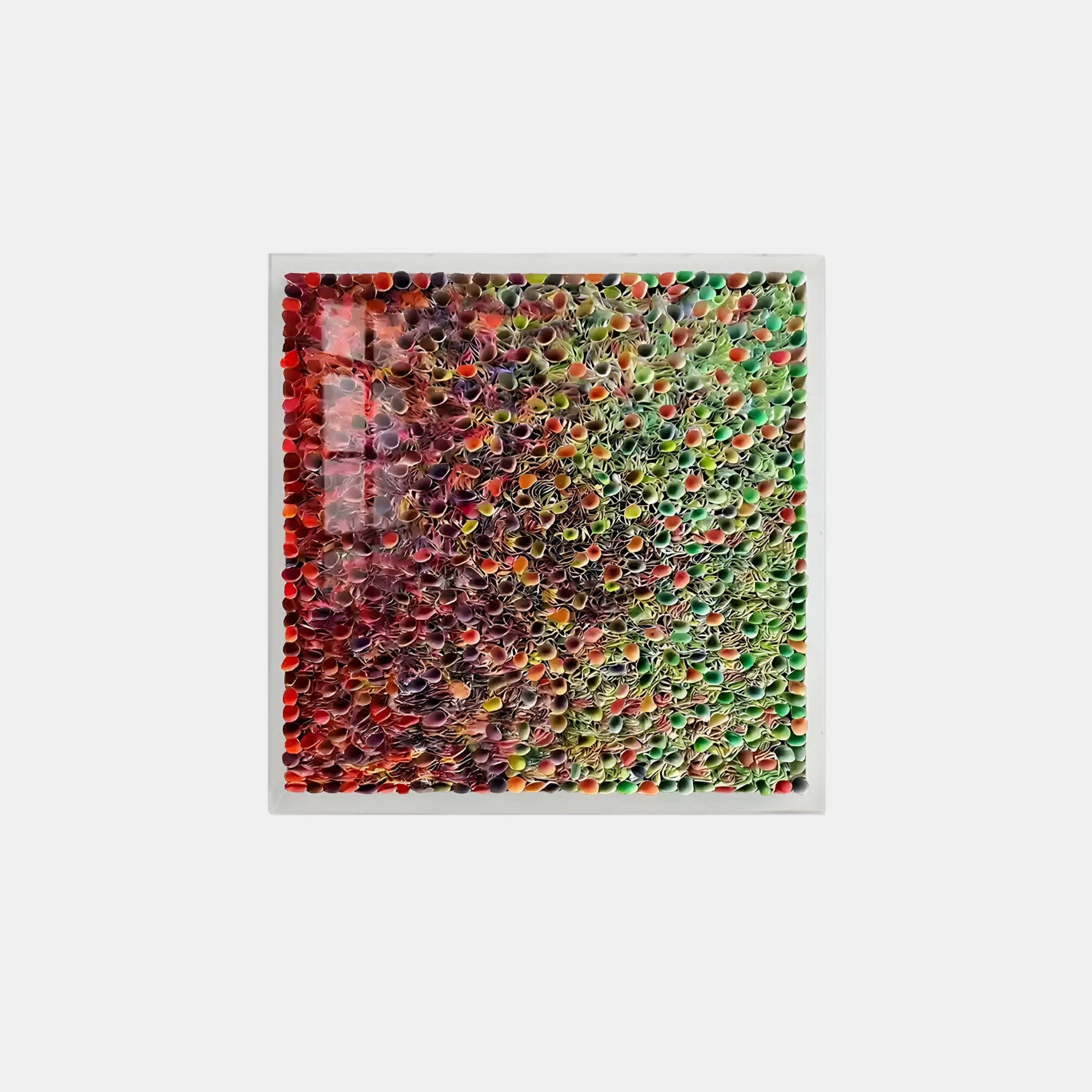 The Chromatica Square Radiant Red & Green Rolled Paper 3D Wall Art by Giant Sculptures features a vibrant abstract design, with numerous small colorful cones arranged in a textured form. The radiant red and green colors transition smoothly across the square frame.