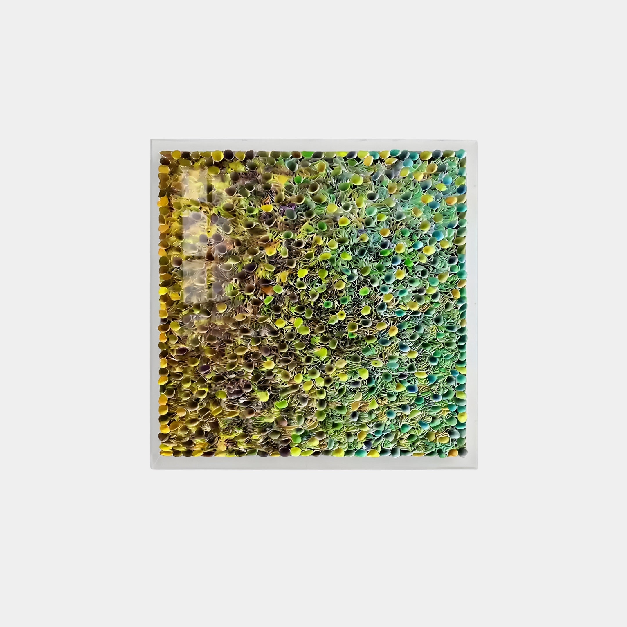 The Chromatica Square Vibrant Green Rolled Paper 3D Wall Art by Giant Sculptures features a dense pattern of colorful dots in green, yellow, and brown. These dots create a mosaic-like effect within a white frame, resembling a vibrant green gradient.