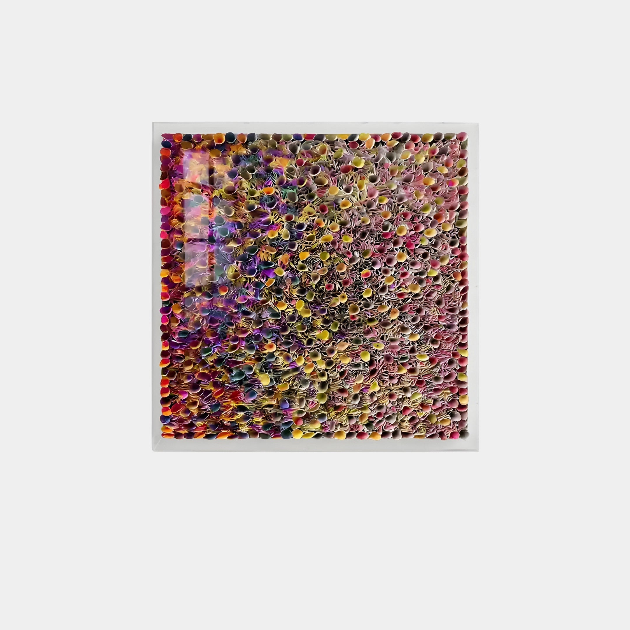 The Chromatica Square Multicoloured Gradient Rolled Paper 3D Wall Art by Giant Sculptures features a dense arrangement of colorful rolled paper spirals in red, yellow, blue, and purple hues, forming a vibrant mosaic elegantly framed in white.