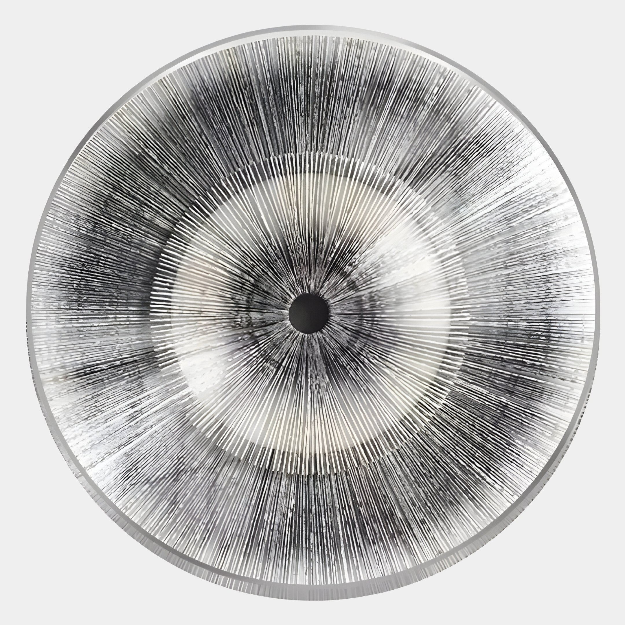 Oculis Monochrome Circular Handmade 3D Paper Wall Art by Giant Sculptures features concentric rings and dense radial black lines, evoking a stylized eye or vinyl record—a striking choice for modern interiors.