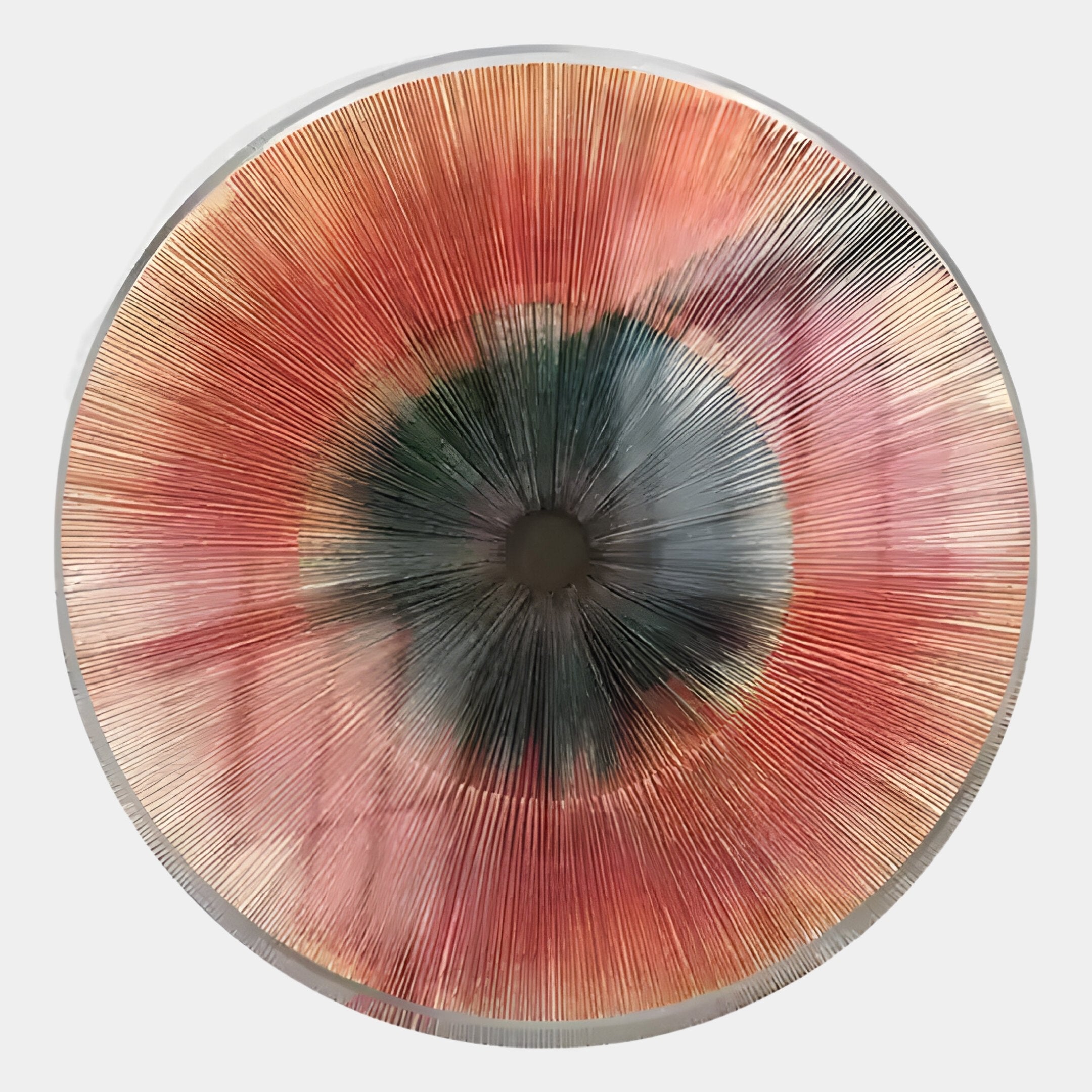 The Oculis Sunset Radial Circular Handmade 3D Paper Wall Art by Giant Sculptures features a vibrant, eye-inspired abstract design with radiating red, orange, and green lines on a white background.