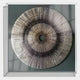 The Oculis Neutral Depth Square Handmade 3D Paper Wall Art by Giant Sculptures features radiating black lines on gray, handmade for a sunburst effect and mounted in an elegant transparent shadow box frame.