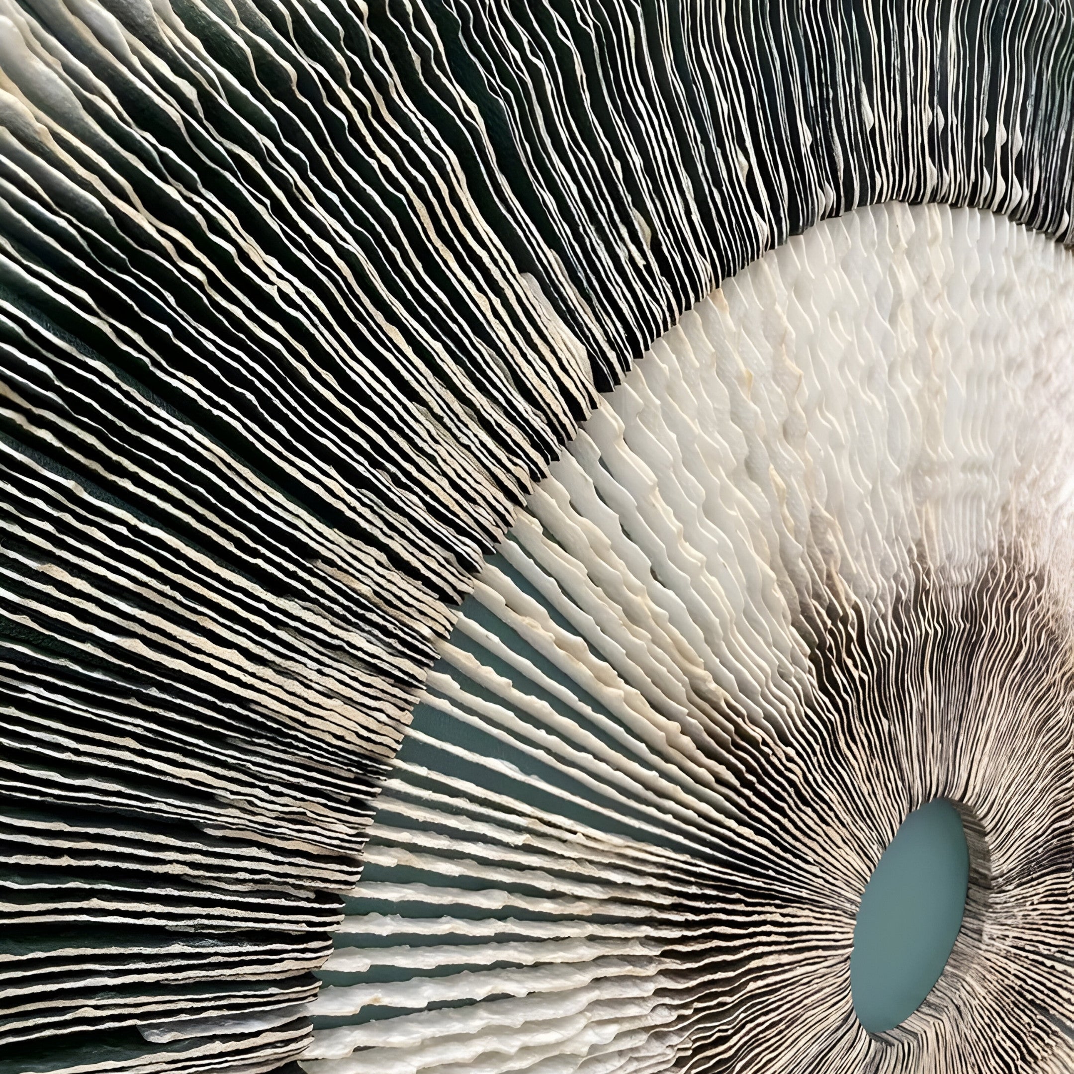 A close-up of a mushroom gill pattern with textured, radiating lines resembles the intricate, fan-like design of Giant Sculptures Oculis Emerald Horizon Square Handmade 3D Paper Wall Art in earthy tones.