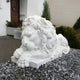 The Giant Sleeping Lion Marble Outdoor Sculpture - 200cm by Giant Sculptures reclines serenely on gray pebbles with a detailed mane and crossed paws, perfect as customizable outdoor decor against white walls and greenery, enhancing any garden.