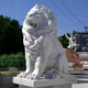 The Giant Lion Marble Outdoor Sculpture - 150cm by Giant Sculptures features a majestic white marble lion on a pedestal with its mouth slightly open as if roaring. Its detailed mane flows beneath the blue sky, surrounded by trees and other stone sculptures for an enchanting outdoor scene.