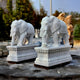 The Lucky Chinese Elephant Marble Outdoor Sculpture by Giant Sculptures stands 180cm tall. Two ornate white marble elephants are displayed outdoors, surrounded by green foliage and other sculptures, celebrating Chinese heritage.