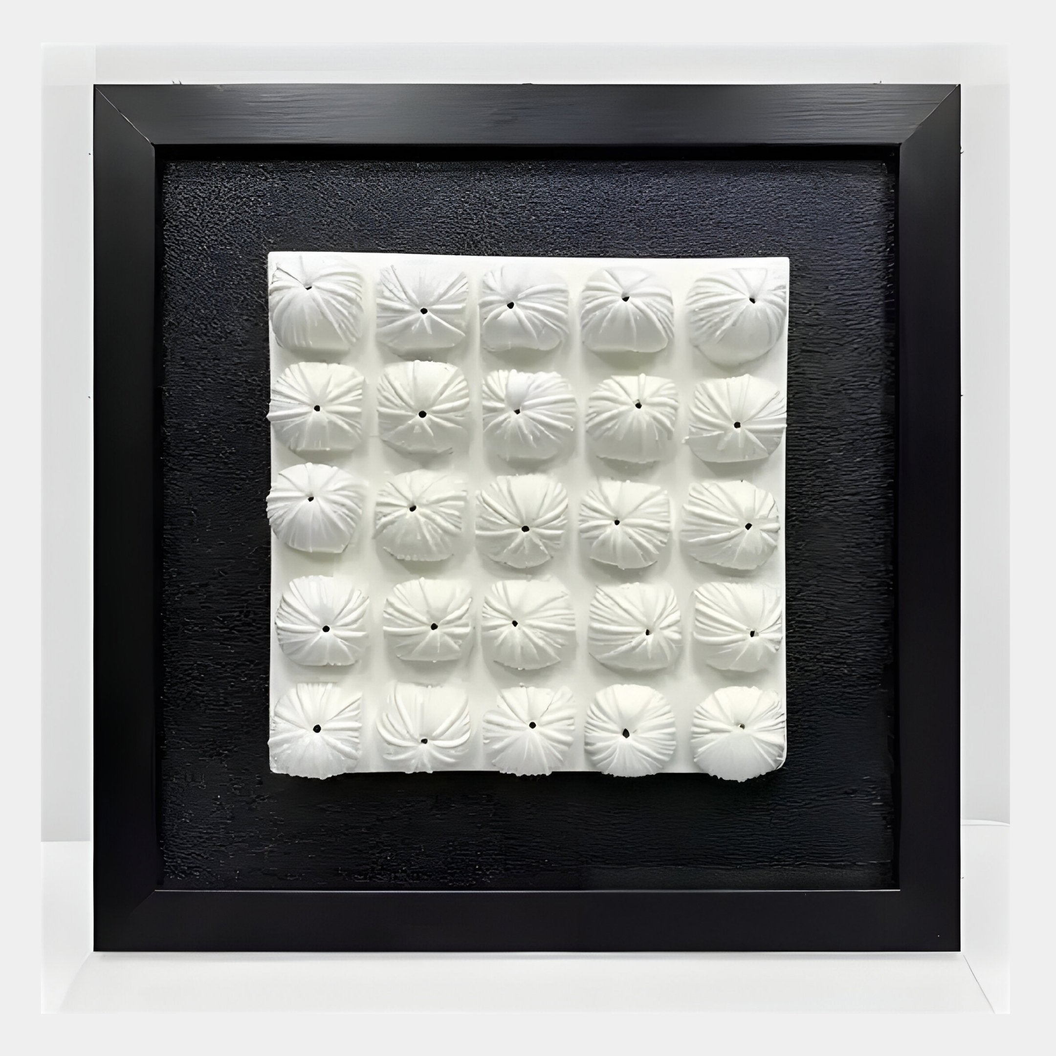 The Harmonia 3D Ceramic Floral Wall Sculpture by Giant Sculptures features 16 white, dome-like, floral forms with central indentations on a textured black background, presented in a black frame and acrylic box—ideal for modern interiors.