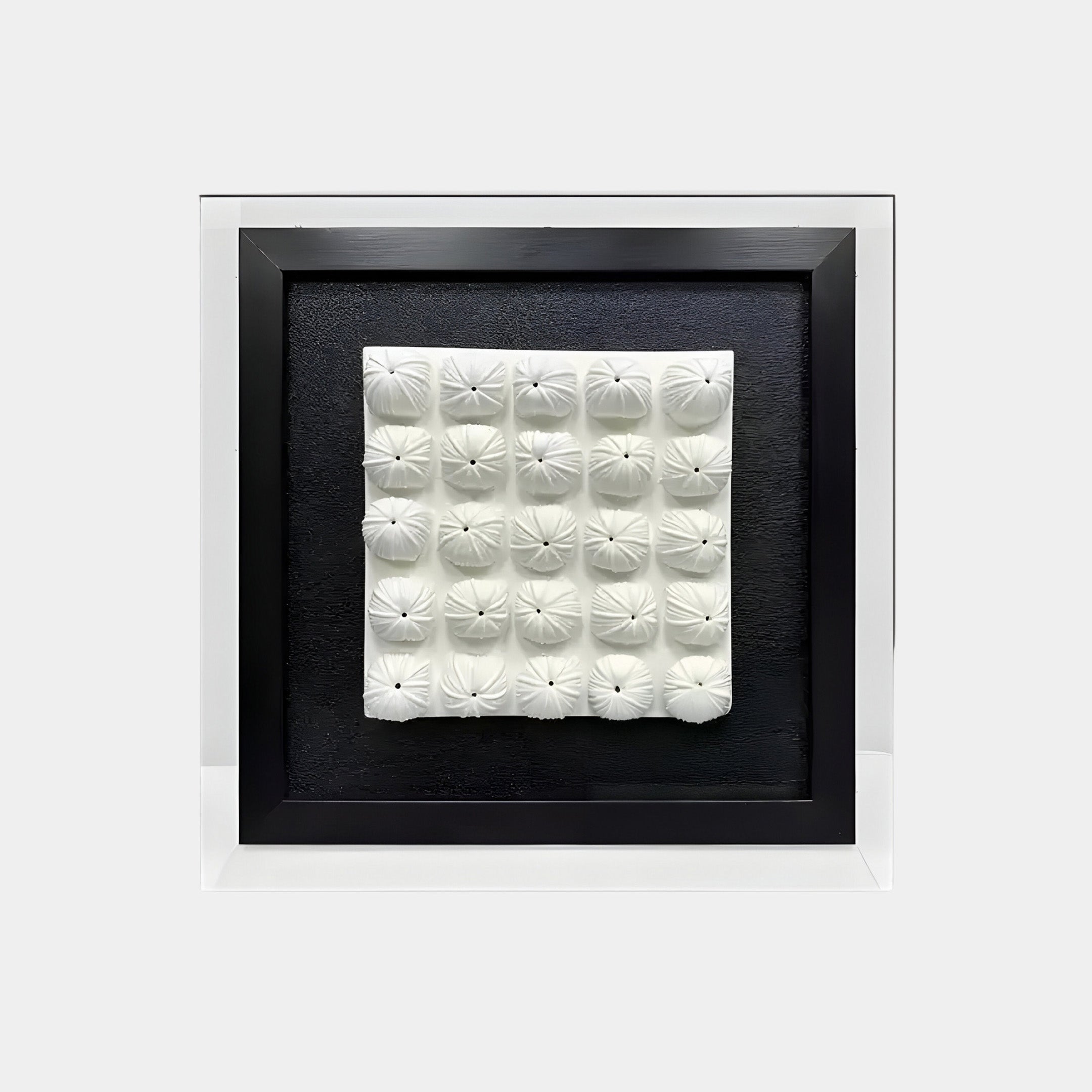 The Harmonia Ceramic Floral Grid 3D Wall Art by Giant Sculptures is a contemporary piece featuring 25 white textured, floral-inspired shapes on a black background. It has a sleek black frame with a silver border and displays circular shapes with an engaging radiating pattern.