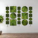 The Verdant Symmetry Modular Vertical Green Plant Wall Art by Giant Sculptures features a mix of green, circular, and square pieces resembling artificial greenery, symmetrically arranged on a white wall. A small plant sits on the wooden floor to the left.