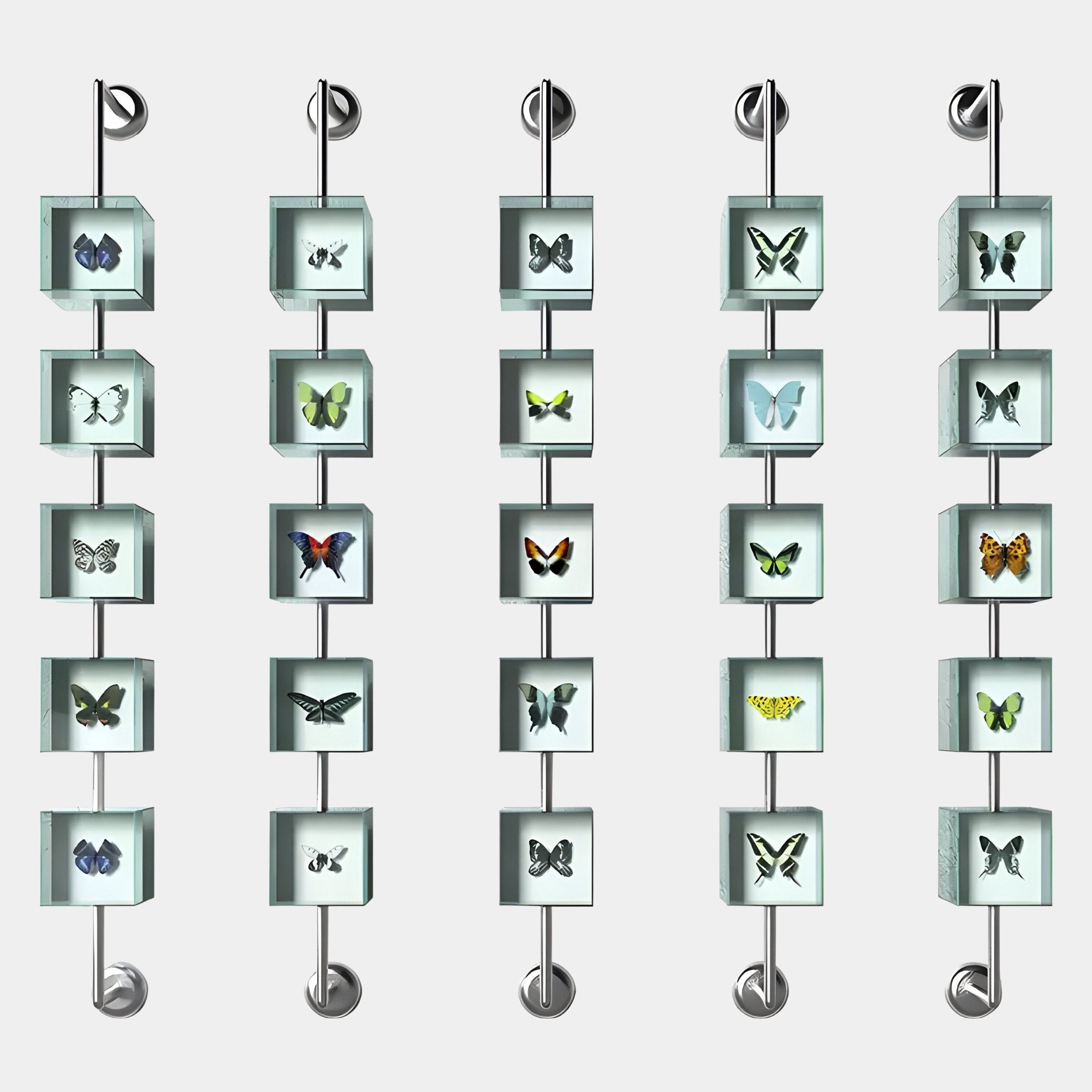 The Papilio Butterfly Cascade Blue Modern 3D Wall Art Set by Giant Sculptures features five vertical rods displaying transparent cubes, each showcasing a unique butterfly specimen—an elegant, minimal wall art piece ideal for modern spaces.