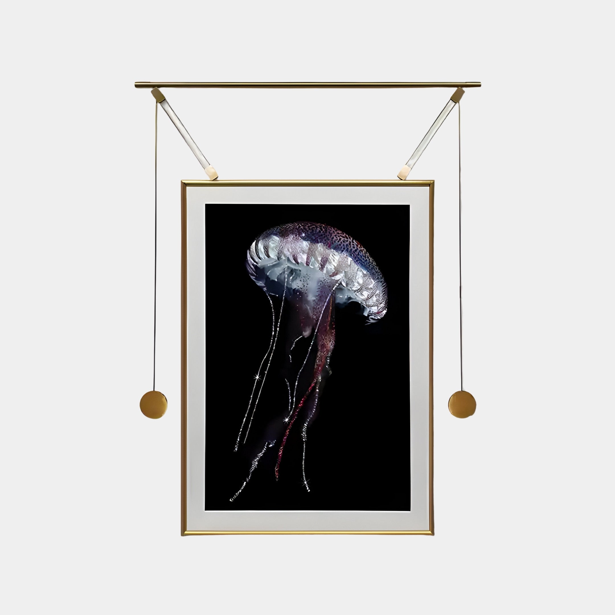 The Glacia Jellyfish Crystal Hanging Framed Wall Art by Giant Sculptures features a framed photograph of a jellyfish with long tentacles against a black background. It hangs from a horizontal bar with two counterweights, showcasing marine-inspired design.