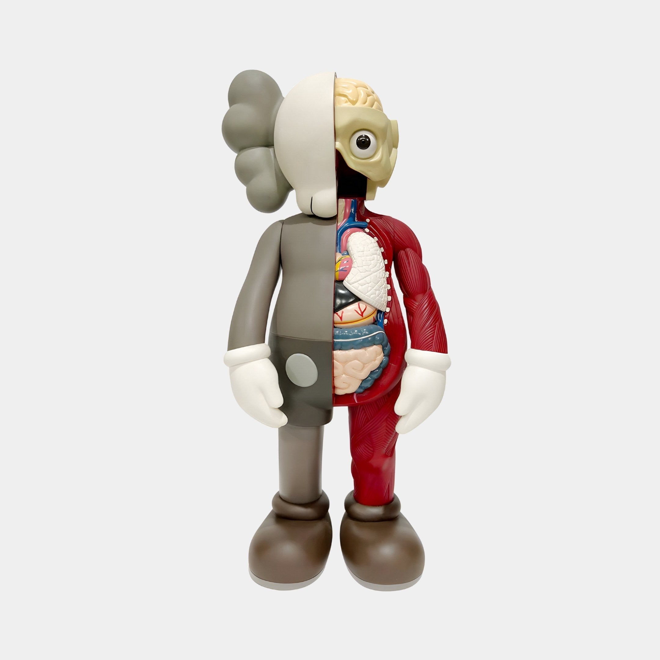 The Hazelnut Brown Iconify Anatomy Figure by Giant Sculptures is a 20cm model displaying half of a characters exterior and half of its internal organs. Crafted in a cartoonish style with gray, white, and red exaggerated features, it adds a quirky education element to your décor.