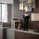Obsidian Black Iconify Loving Furry Figure, 28cm, on a console table beside books and a lamp in a modern living room setting.