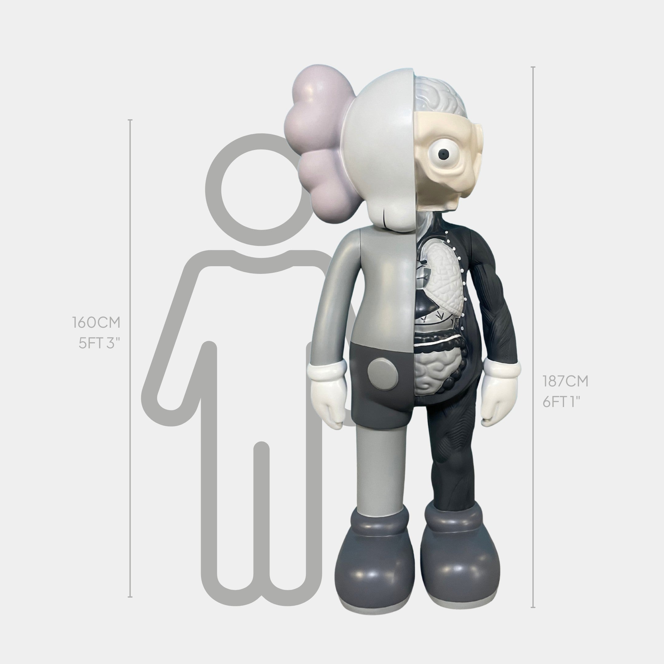 The Slate Grey Iconify Anatomy Sculpture by Giant Sculptures stands 187cm tall, dwarfing a 160cm person. Its split design features striking anatomical art on the right side, making this modern piece a standout in any space.