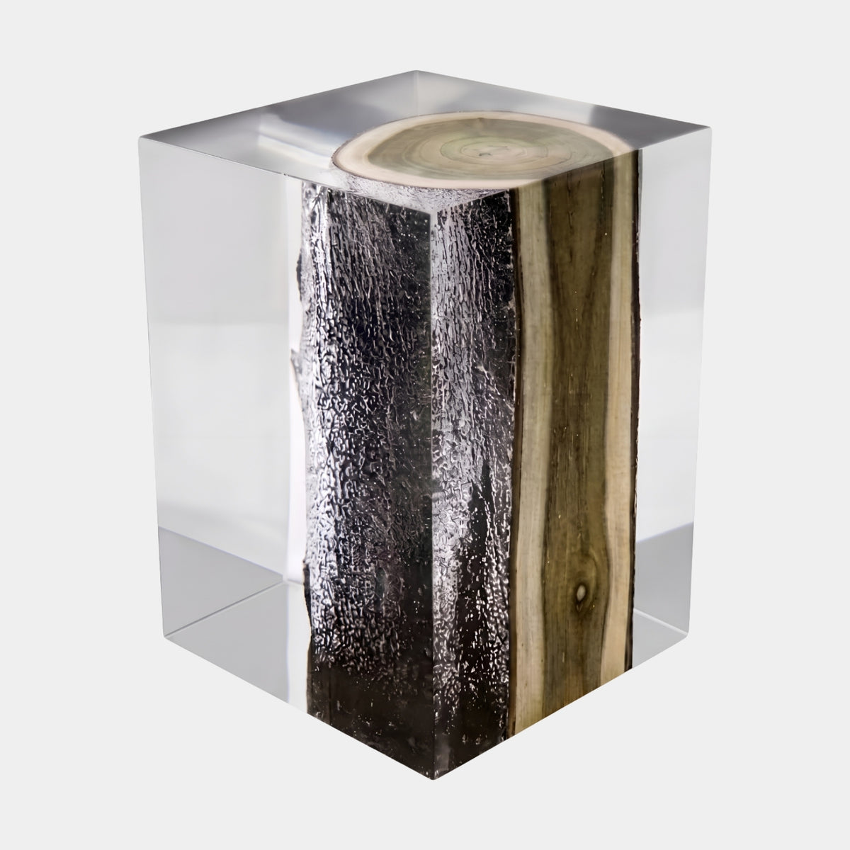 Clear Corner-Set Bark Log Resin Sculpture, 42cm, with diagonal log showing coarse black bark and golden-brown timber grain, set in a clear resin block on a plain white background.