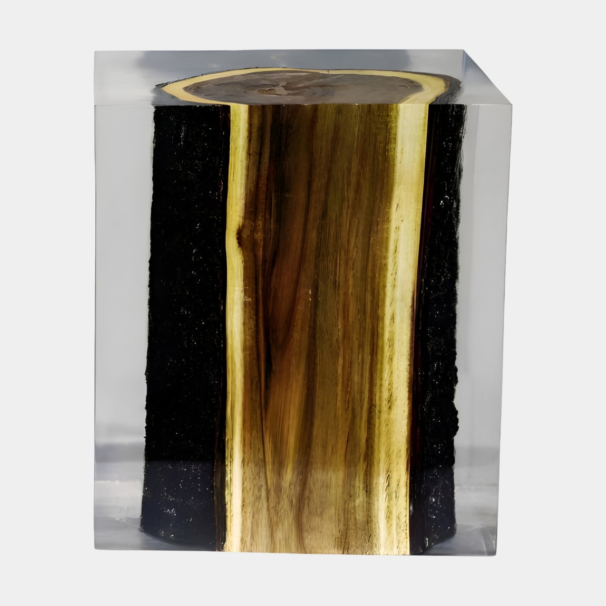 Clear Twin Bark Band Log Resin Sculpture, 40cm, encased wood block with black bark edges, pale sapwood stripes, and golden-brown heartwood center, set against a plain light background.