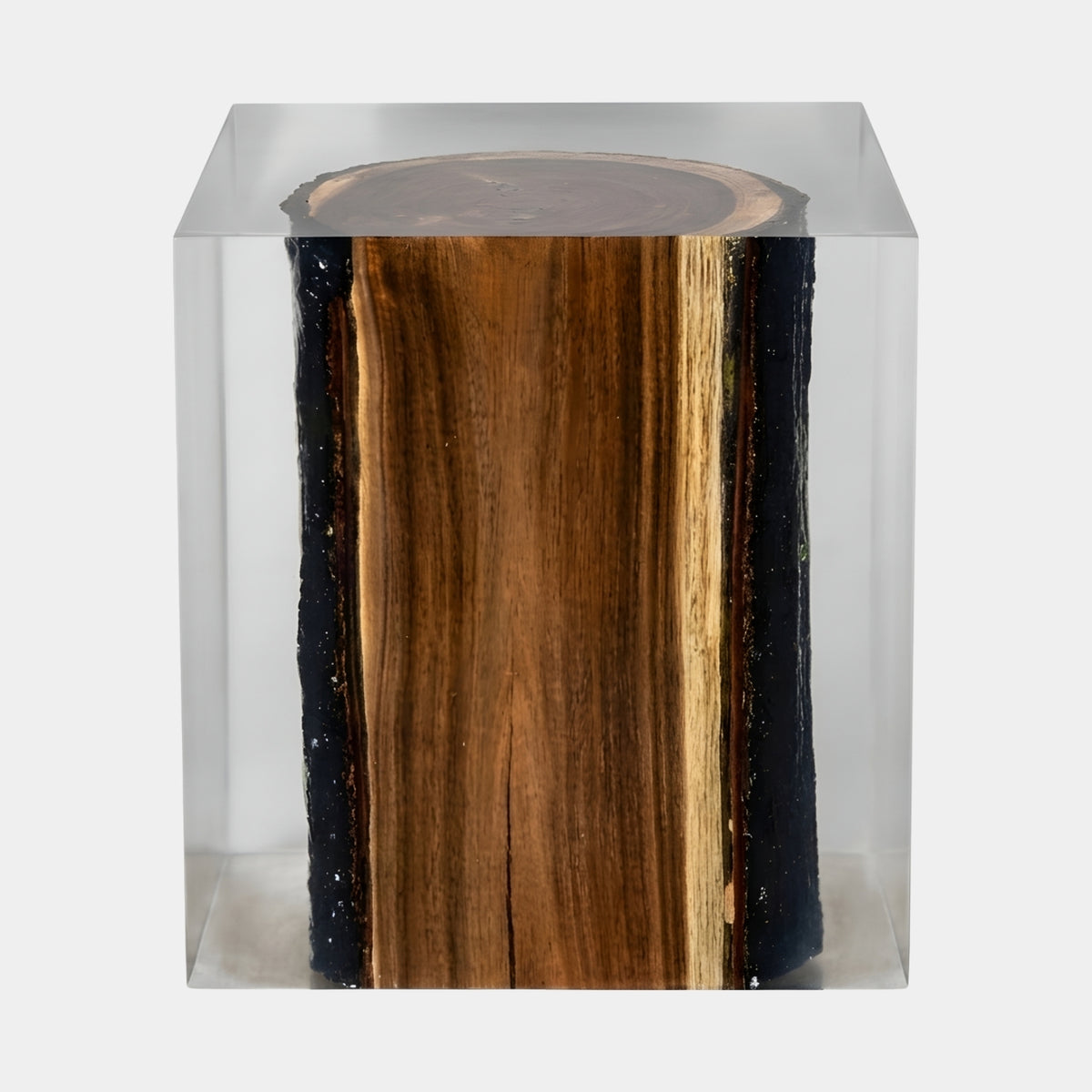 Clear Striped Heartwood Log Resin Sculpture, 45cm, encasing a wood block with olive, gold and near-black grain bands and bark edges, set against a plain white background.