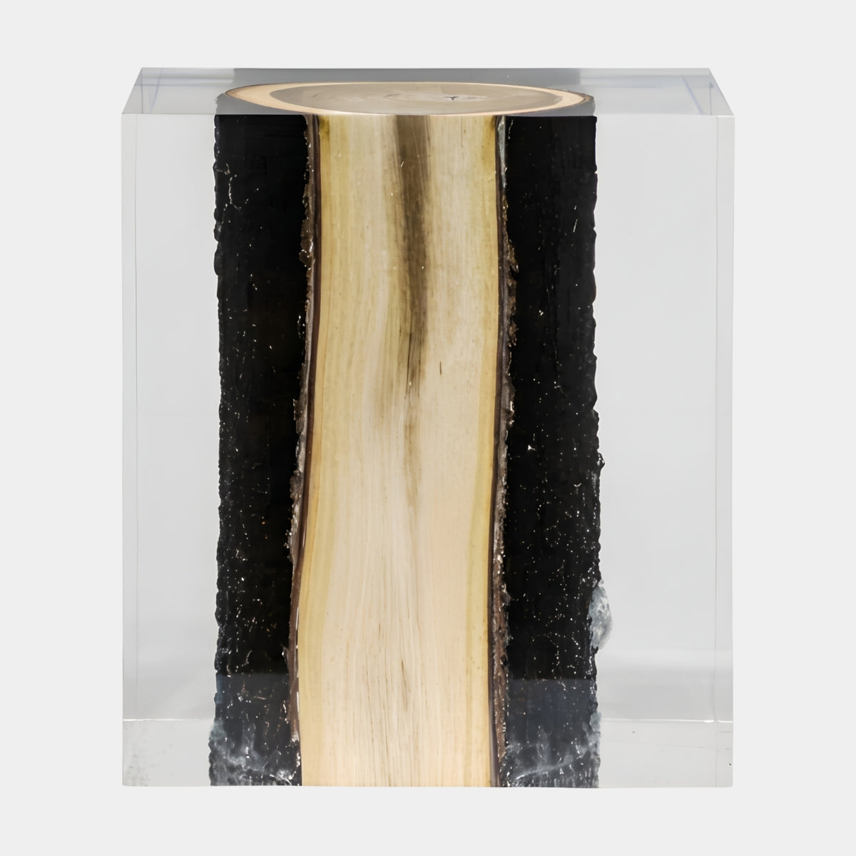 Clear Blonde Sapwood Log Resin Sculpture - 43cm, a rectangular acrylic block encasing a pale sapwood core flanked by rough black bark bands, on a plain white background.