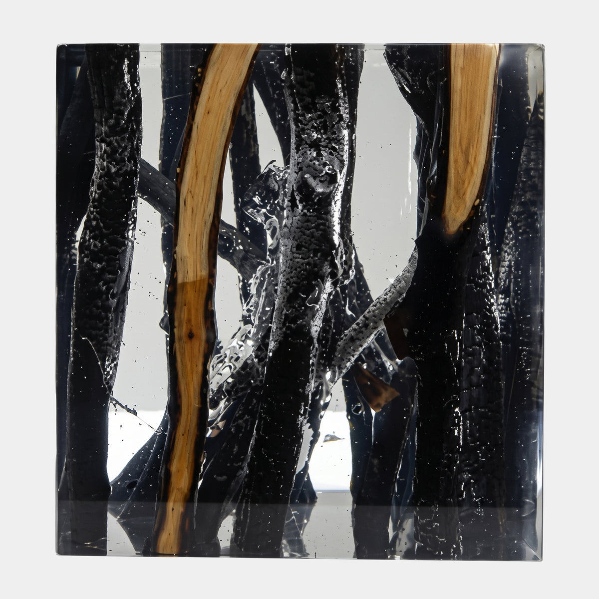 Black Packed Branch Resin Sculpture - 43cm by Giant Sculptures, dark bark-on branches encased in resin with two bare honey-gold timber branches, shown against a plain white background.