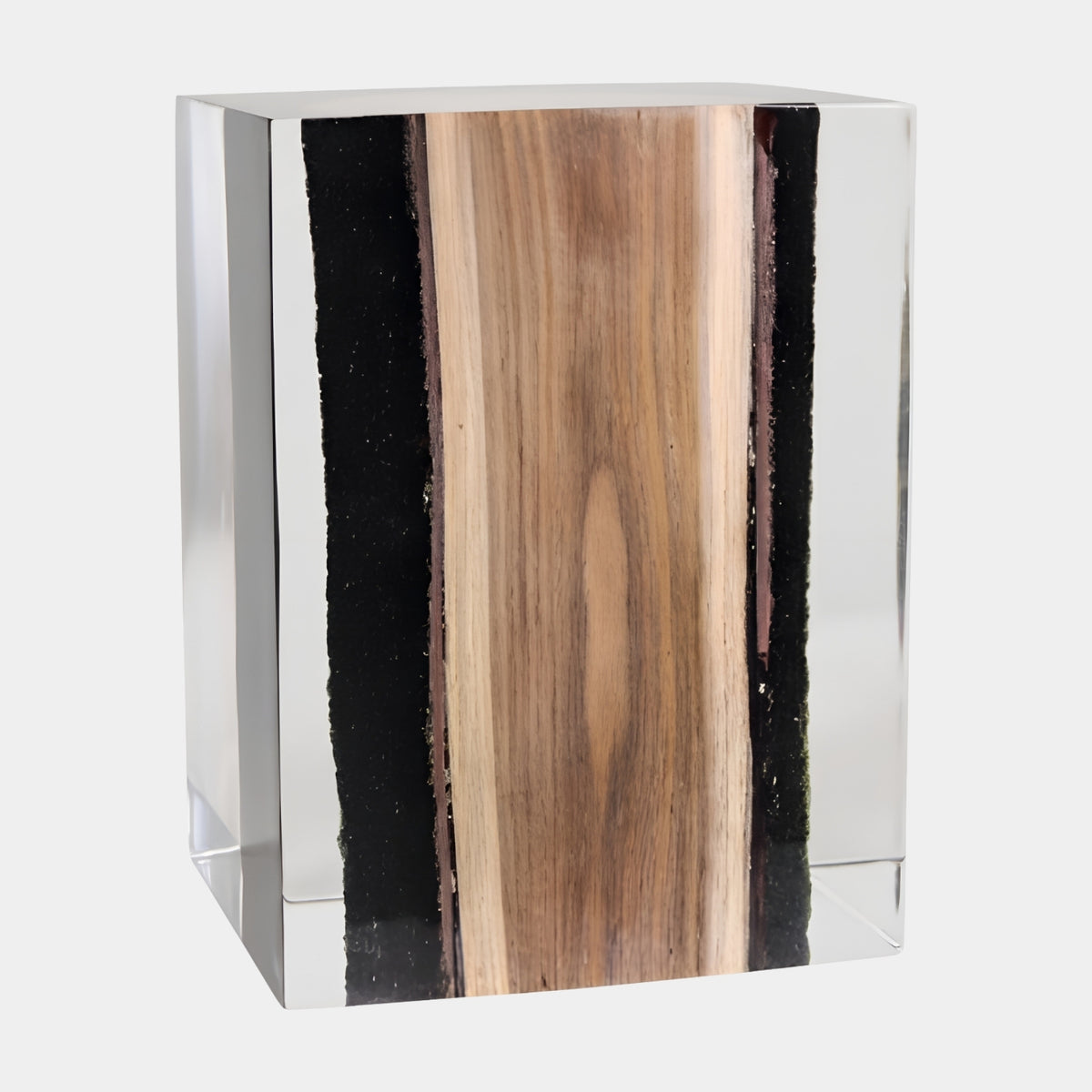 Clear Tall Bark Band Log Resin Sculpture, 55cm, with olive-brown wood grain and black bark edges encased in clear resin, on a plain white background.