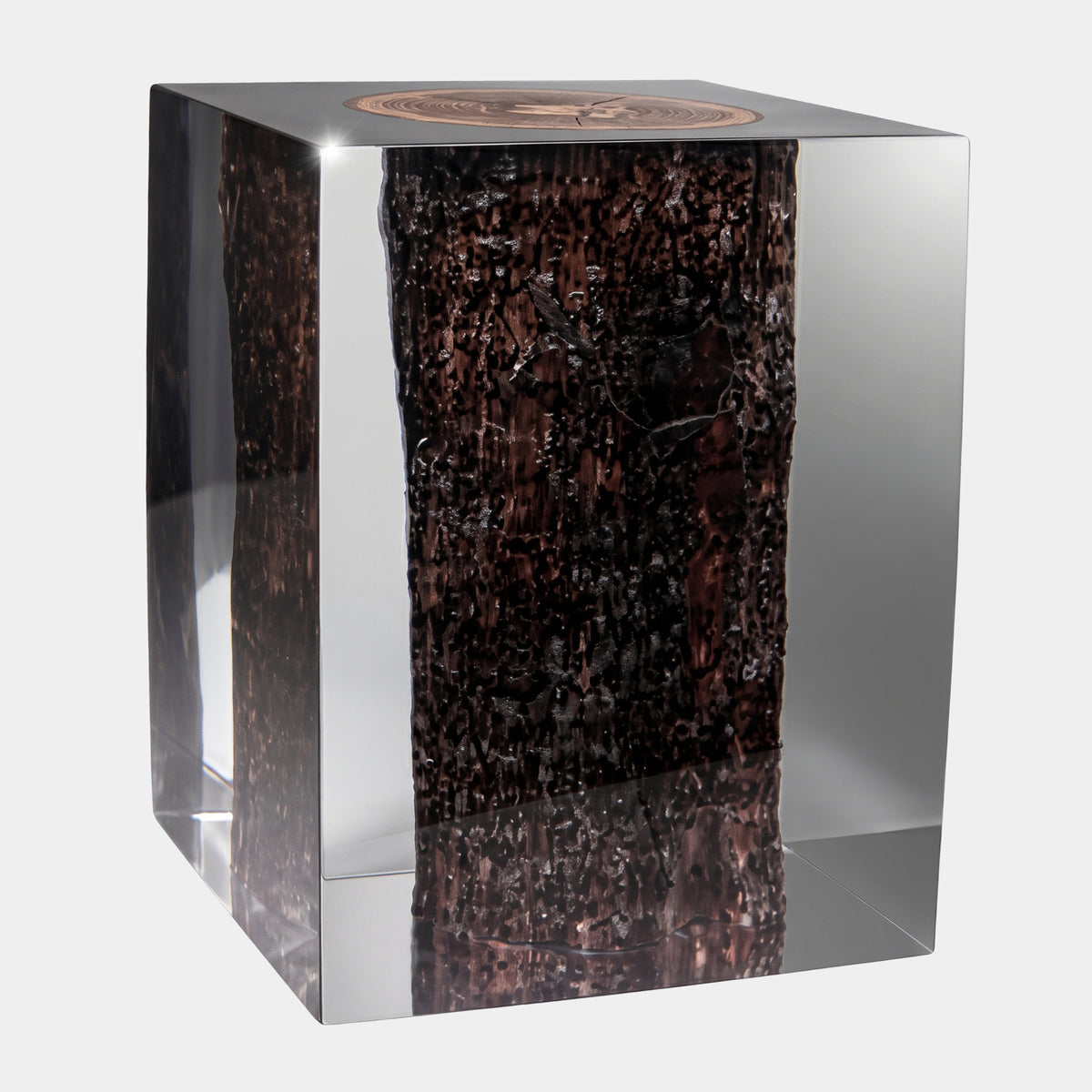 Brown Bark-Faced Log Resin Sculpture, 40cm, clear resin cube encasing textured dark bark with visible end grain disc on top, plain white background.