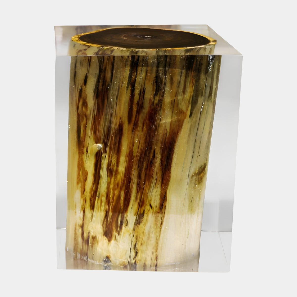 Clear Streaked Blonde Log Resin Sculpture - 40cm, a debarked log with dark brown grain streaks encased in clear resin, shown on a plain white background.