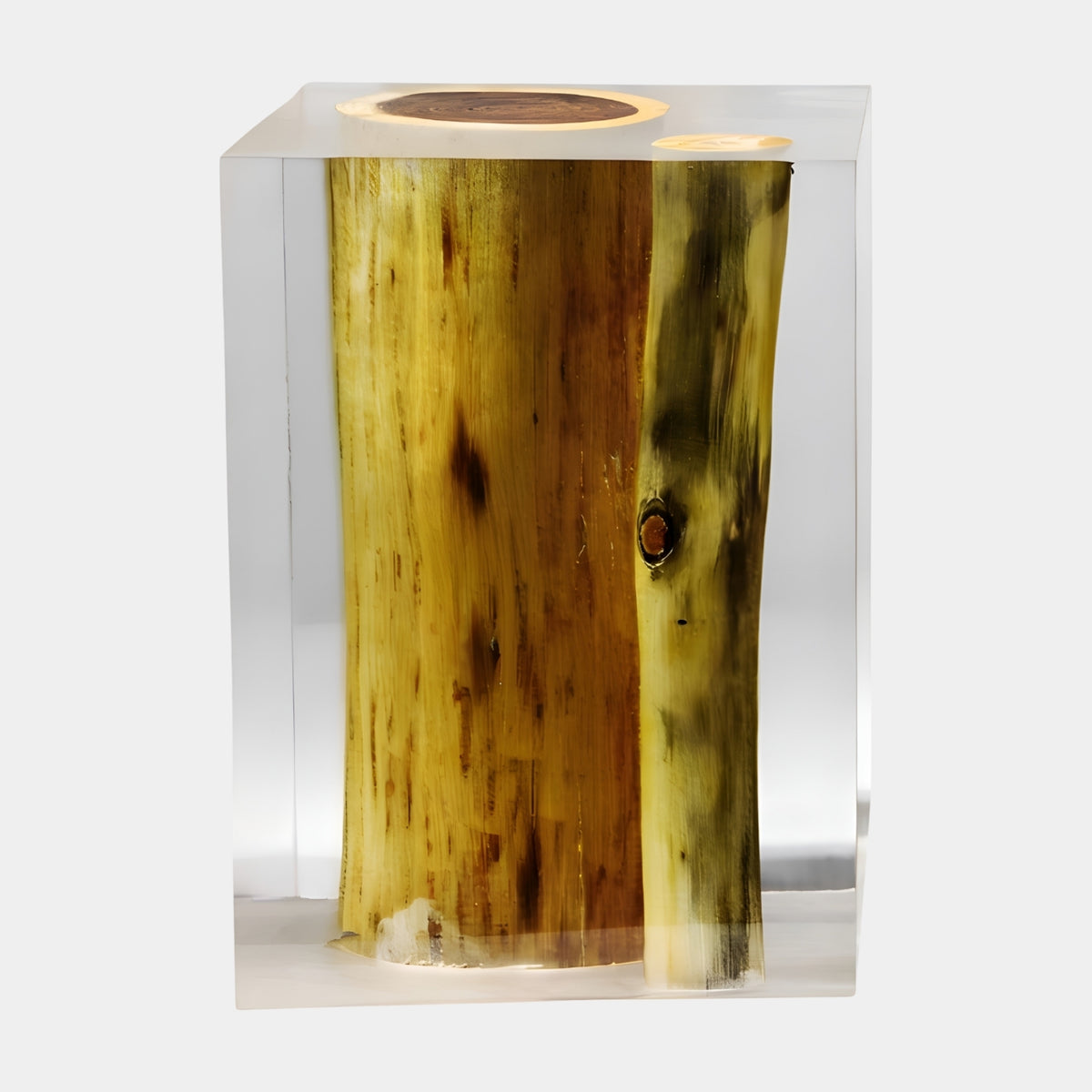 Clear Two-Tone Debarked Log Resin Sculpture, 40cm, with golden-olive and pale cream wood tones encased in clear resin, set on a plain white background.