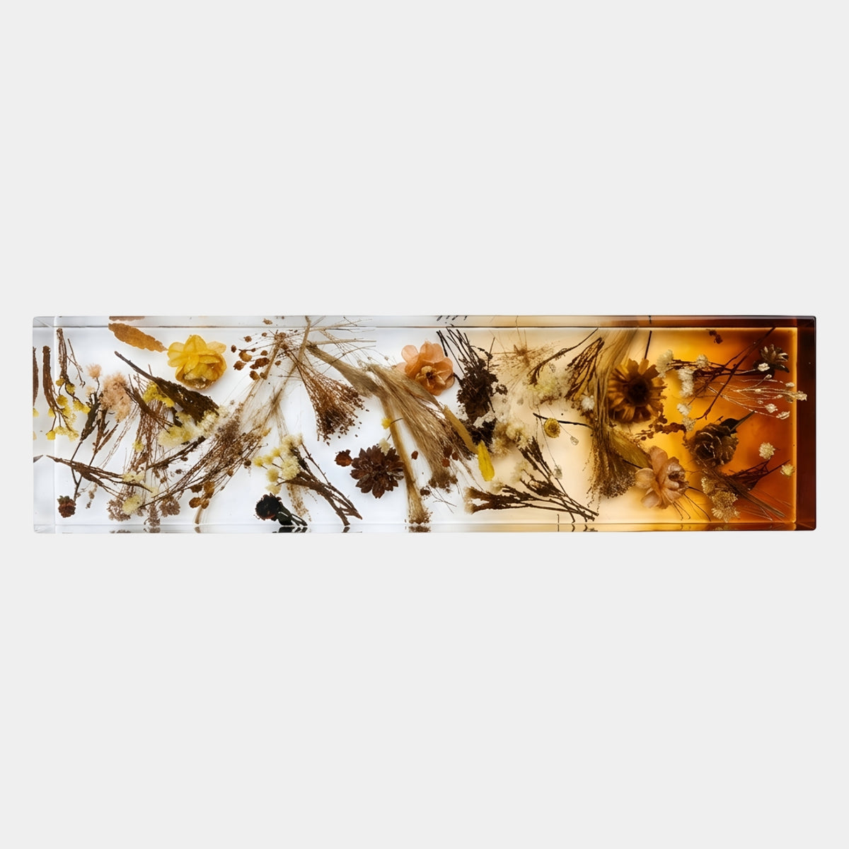 Clear Dried Botanical Bench Top Panel (180cm) by Giant Sculptures, resin slab embedding dried grasses, seed heads and flowers, amber at one end fading to clear, shown on a white background.