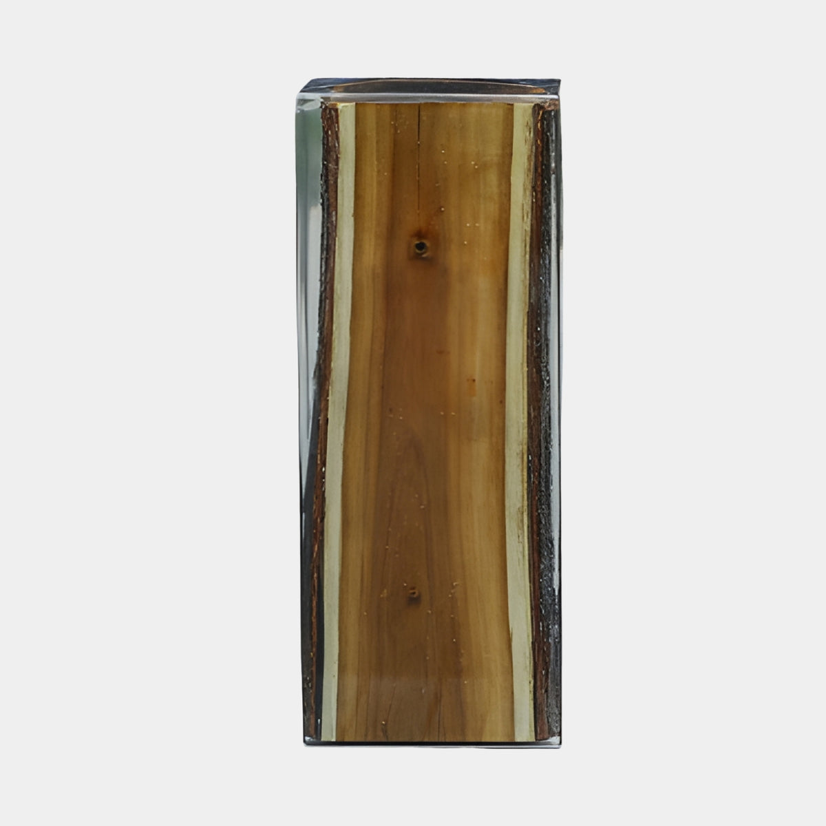 Giant Sculptures Clear Set Timber Section Cast Resin Plinth (87cm), a tall clear resin block encasing an upright wood slice with bark edges and visible grain, on a plain light background.