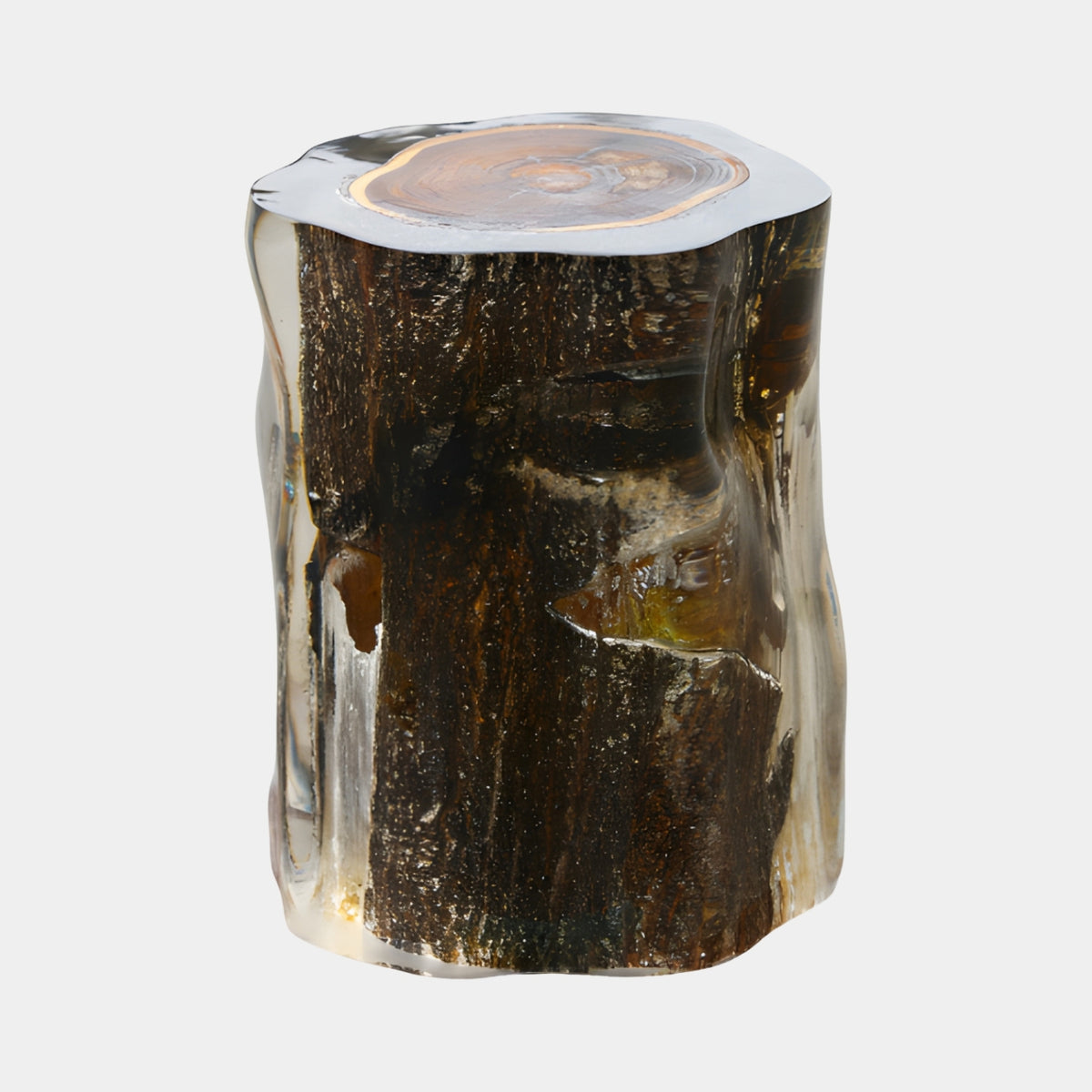 Brown Barked Log Outline Clear Resin Stool, 55cm, dark bark log cased in clear resin with pale ringed cut top, shown on a plain white background.