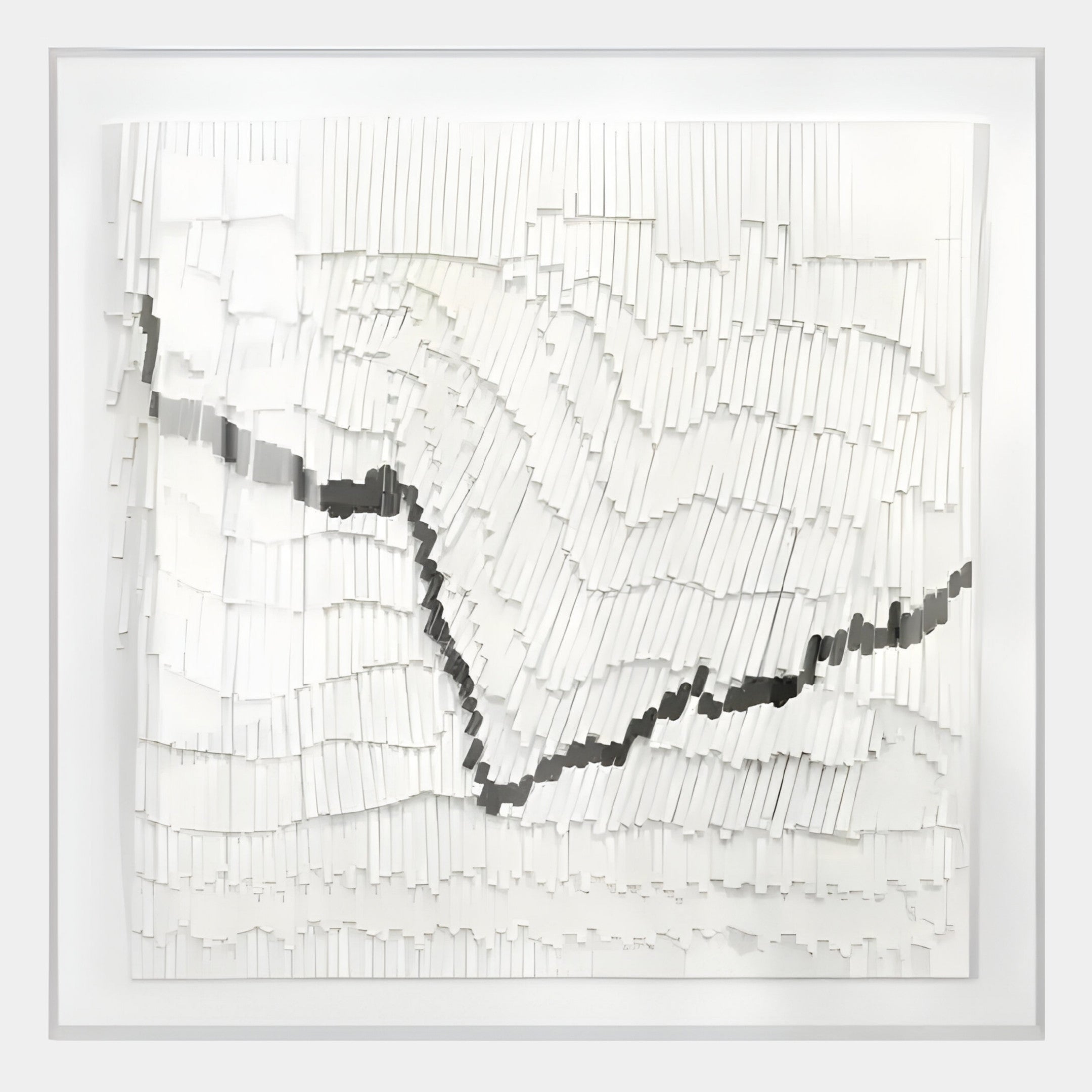 Virelline White & Black Framed Acrylic 3D Wall Art