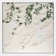 Pellora White & Green Leather Scale 3D Wall Art