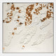 Pellora White & Ochre Leather Scale 3D Wall Art