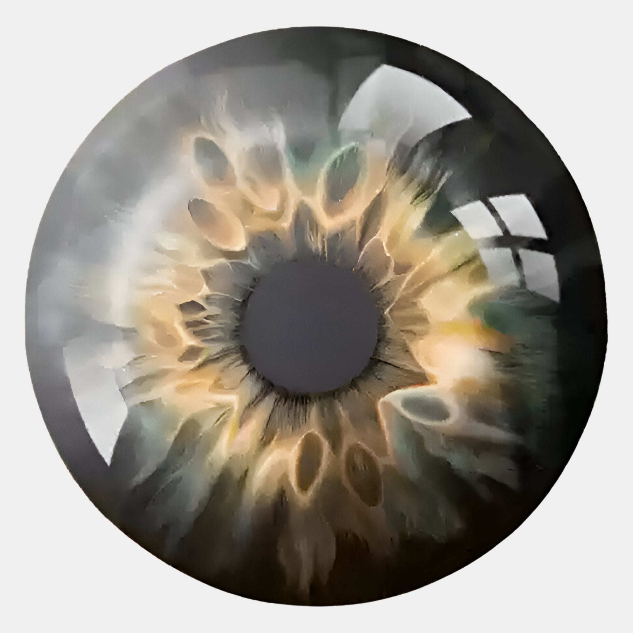 A close-up of a green and hazel iris with intricate patterns, outlined in black and highlighted by light, captures the mesmerizing detail of Genesis Golden Halo 3D Resin Crystal Porcelain LED Wall Art by Giant Sculptures.