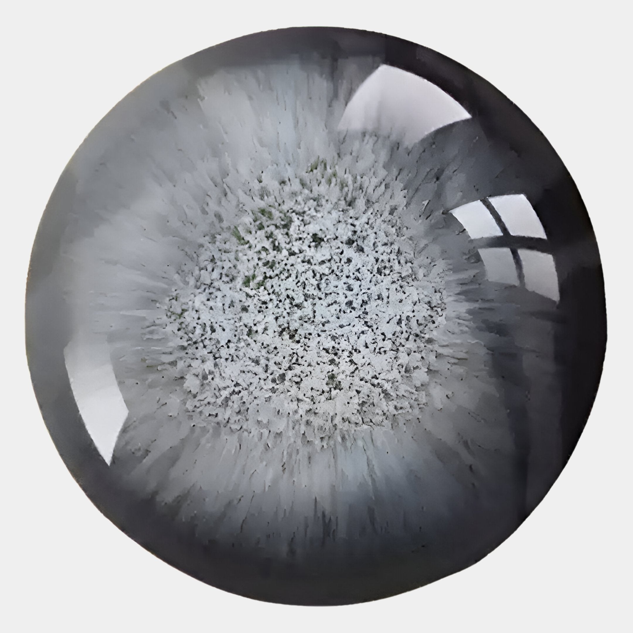 A close-up of Giant Sculptures Genesis Glacier 3D Resin Crystal Porcelain LED Wall Art, featuring a round form with gray and white snowflake-like patterns and gentle reflections, evoking the icy beauty of Genesis Glacier.