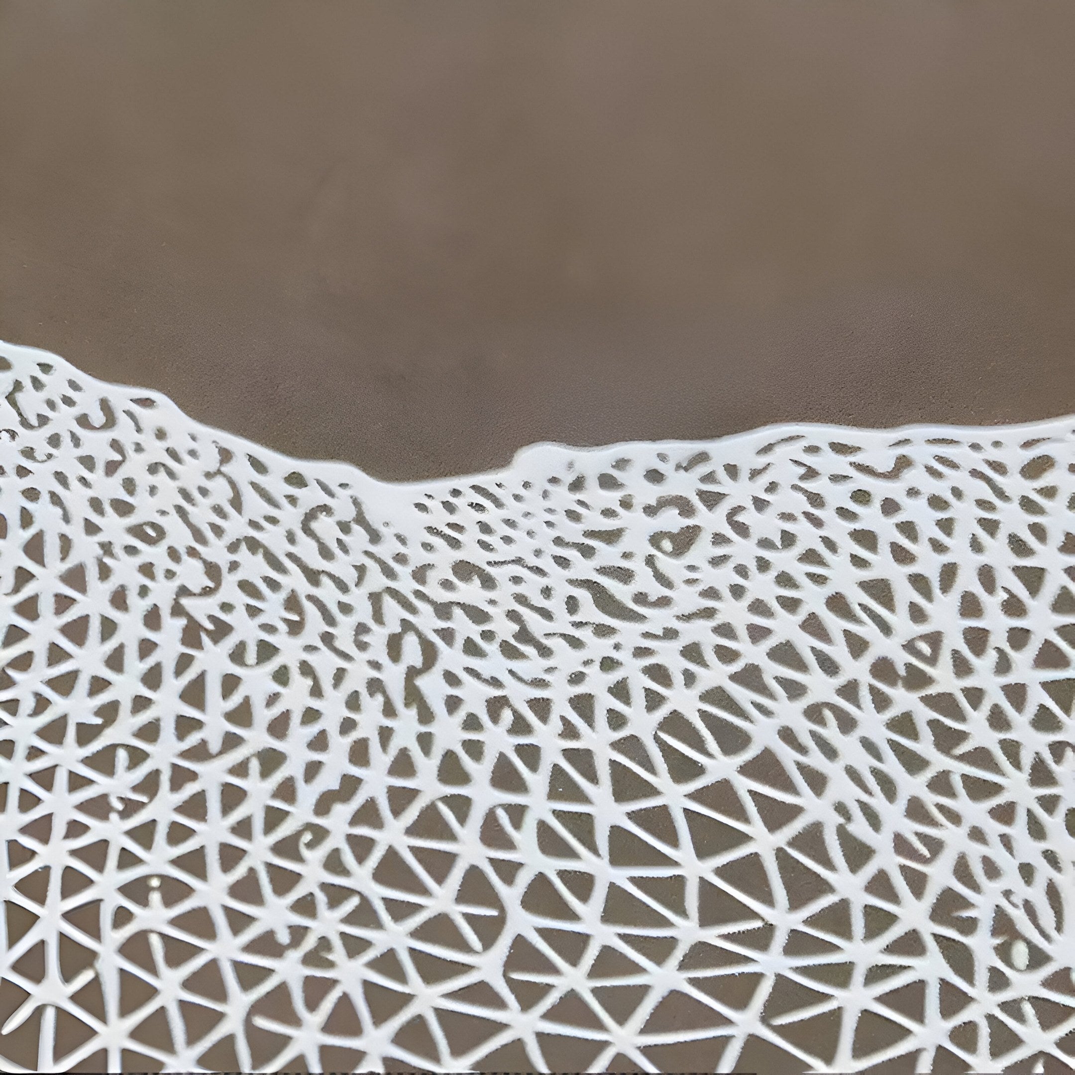 The Earthlight Amber Glow 3D Textured Oil Painting LED Wall Art from Giant Sculptures features a white, intricate lattice pattern over a smooth amber-toned, light brown surface, creating a lace-like effect.