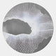 The Earthlight Twilight Aura 3D Textured Oil Painting LED Wall Art by Giant Sculptures features a swirling, web-like geometric pattern on a gray background, creating depth and adding modern dimension to any contemporary interior.